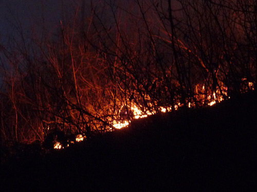 Foto Incendiu Chelinta (c) eMM.ro